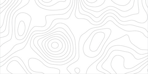 Abstract topography background. Topographic contour map subtle. Wavy paper curved reliefs White background. Geographic mountain relief curve lines background. Vector illustration.	