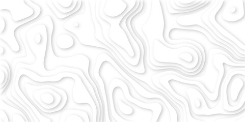 Abstract White Paper cut background. Modern 3d Paper cut background. Geometric map relief texture with curved layers and shadow. Topographic canyon map light relief texture. Vector illustration.	