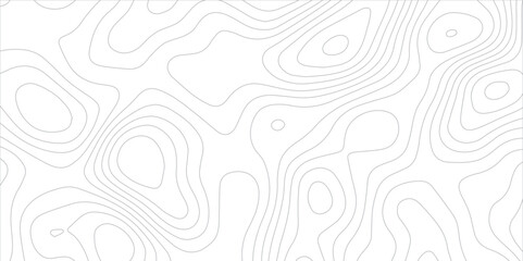 Abstract topography background. Topographic contour map subtle. Wavy paper curved reliefs White background. Geographic mountain relief curve lines background. Vector illustration.	