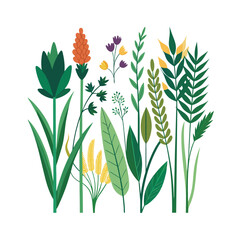 Hand drawn design botanical elements collection