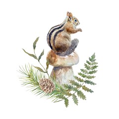 Chipmunk sitting on a mushroom, fern, spruce branch. Watercolor illustration isolated. Cards, invitations, posters, nature, wild animal protection day