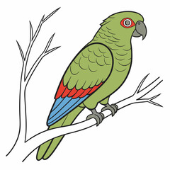 red and green parrot