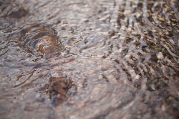 The camera captures a shallow stream of water flowing down the surface of the asphalt, forming small waves. Then it comes to a spring that bursts out of the ground, rising to the surface