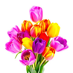 Naklejka premium Multicolored spring tulips Vibrant flowers bouquet head isolated on white background PNG.AI GENERATED