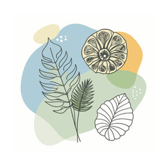 Hand drawn design botanical elements collection