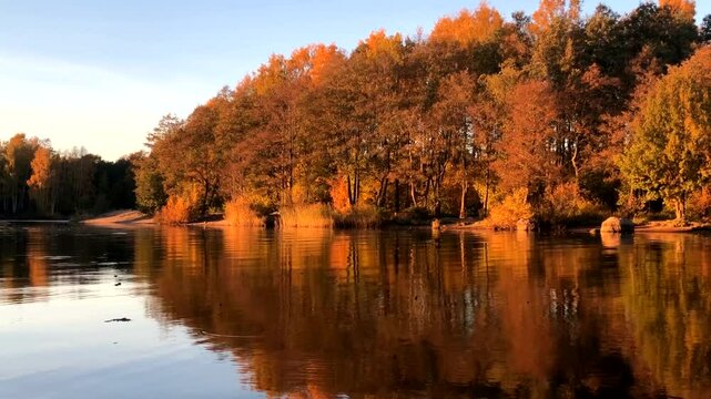golden hour, beautiful autumn landscape in golden