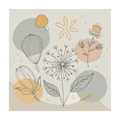 Hand drawn design botanical elements collection