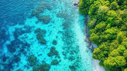Obraz premium Aerial View of Clear Blue Ocean and Lush Green Shoreline
