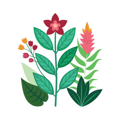 Hand drawn design botanical elements collection