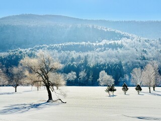 Winter outdoors in Windham, NY. Ski town in Catskill Mountains, golden hour. Sun beam and glare. White snow covered blanket landscape. Peak, meadow, ice glistens on trees and blue sky. Monochromatic.