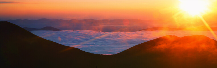 blooming red pink rhododendrons flowers in the mountains, amazing panoramic nature scenery	