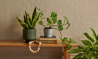 Green botanic room concept, vase of plant, furniture chair and bank style, interior home decor,...