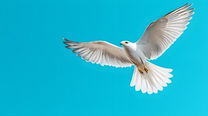 Obraz premium Majestic White Bird in Flight Against a Clear Blue Sky, Wings Outstretched Gracefully, Symbolizing Freedom, Peace, Purity, and the Beauty of Nature in a Stunning Aerial Perspective