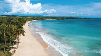 Obraz premium Aerial perspective of tranquil tropical beach featuring lush palm trees soft white sand and vibrant turquoise ocean waters