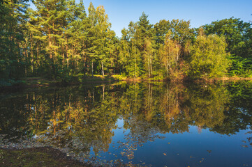 Fototapeta premium Celle, 02.01.2025