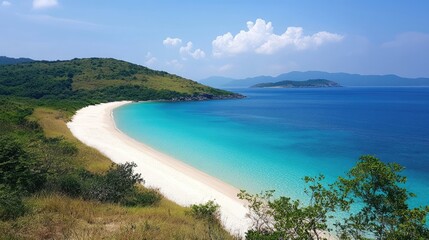 Obraz premium Serene sandy beach with turquoise waters and vibrant greenery under a clear blue sky creating a tranquil tropical paradise atmosphere