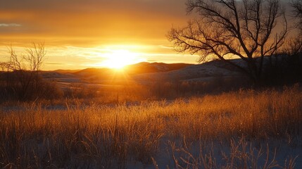 Obraz premium Golden sunrise illuminating frosty hills and silhouetted trees creating a serene winter landscape at dawn