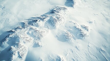 Obraz premium Aerial perspective of expansive snow-covered tundra showcasing the serene beauty of a vast white landscape in winter.
