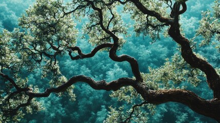 Lush Green Tree Branches Against Serene Forest Background in Soft Natural Light