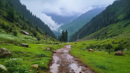 Obraz premium Serene mountain trekking trail surrounded by lush greenery under cloudy sky after rain shower