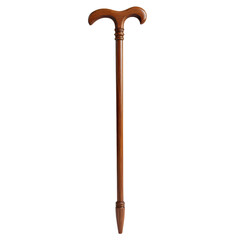 Intricate Wooden Walking Stick with Unique Carvings