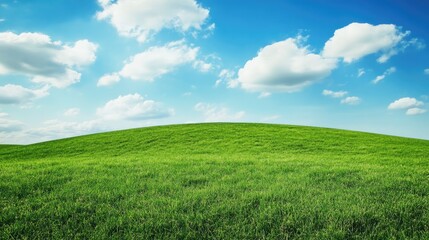 Obraz premium Lush green hillside under a bright blue sky with fluffy clouds creating a serene natural landscape atmosphere