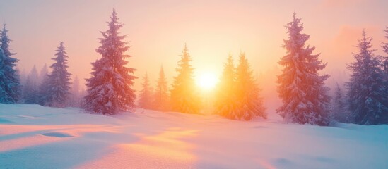 Obraz premium Winter sunset casting silhouettes of snow-covered trees against a colorful sky with vibrant hues of orange and pink in a serene landscape.