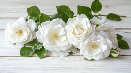 Elegant arrangement of wild white roses with fresh green leaves on a rustic white wooden table background for floral decor or design.