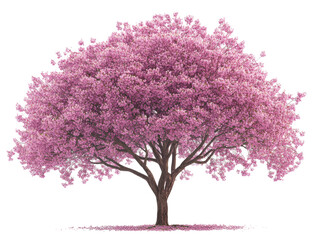 Obraz premium sakura tree isolate on white background --chaos 30 --ar 4:3 --stylize 300 --v 6.1 Job ID: 5874fb80-8f4f-434f-9cbe-23d74ebf4c48
