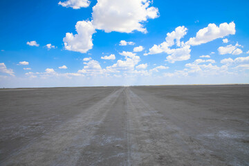 Endless and sandy country road in Namibia's beautiful desert landscape. Salt pan in Etosha National Park. Namibia, Africa