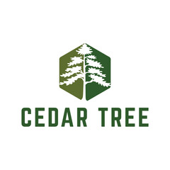 Cedar pine tree logo nature organic environment icon symbol illustration