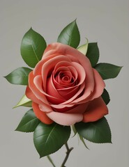 Fototapeta premium Stunning Pink Rose - Symbol of Grace and Love