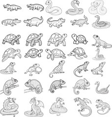 Reptile animals line art vector on white background 