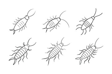 Silverfish (Lepisma saccharina) insect silhouette design, labeled line art vector illustration.