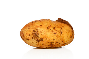 Unique potato showcasing rustic charm and earthy texture under bright lighting