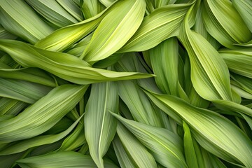 Lush Green Leaf Texture in Natural Light Capturing Organic Beauty and Freshness