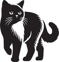 Obraz premium black and white cat