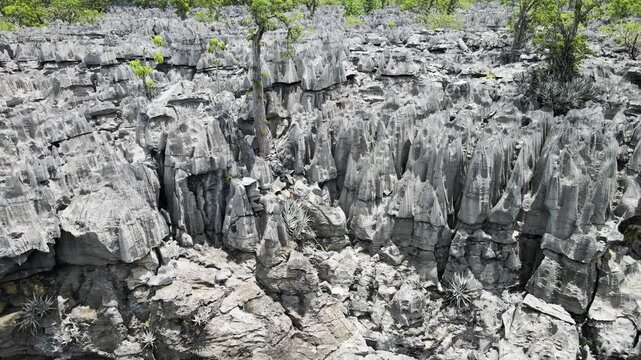 DESFILADEIRO DE ROCHA CALC&Aacute;RIA. LIMESTONE ROCK CANYON
