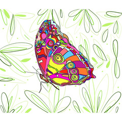 Untitled Artwork Butterfly colorful in summer 