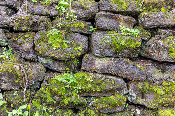 Stone lava wall in Lava Tree Park Hawaii highlights the wet environment from mossy growth on the stones.