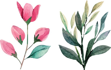 bouquet of pink tulips