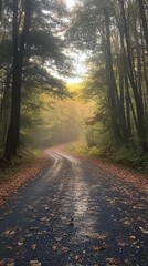 Fototapeta premium Autumn leaves cover a peaceful road through a forest at sunset in a tranquil setting