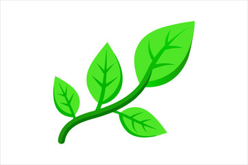 Leaves Icon - Vector Stock Illustration. Leaf Shapes Collection