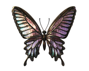 Isolated Holographic Dark Butterfly