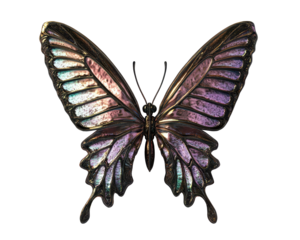 Isolated Holographic Dark Butterfly