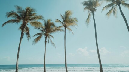 Low-angle view of tall palm trees against a bright blue sky and ocean.