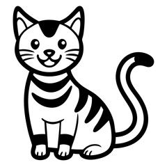 black and white cat