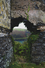 The image shows an overgrown, abandoned structure with ivy-clad stone walls and arch-shaped openings. Vegetation creeps over scattered stones, under an overcast sky, evoking mystery and nature's quiet