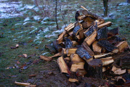 wet chopped firewood on a pile outside in winter
