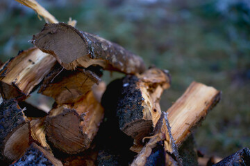 wet chopped firewood on a pile outside in winter